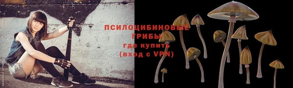винт Белокуриха