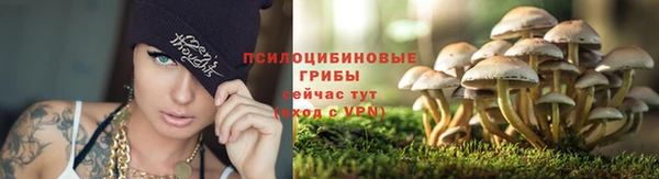 СК Белоозёрский