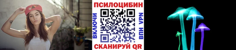 Псилоцибиновые грибы Magic Shrooms  купить   Ахтырский 